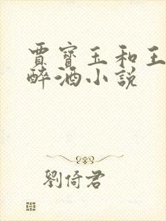 贾宝玉和王夫人醉酒小说
