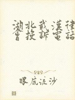 湖北武汉律师协会投诉电话 湖北武汉律师协会投诉电话