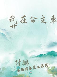 我在公交车上被艹