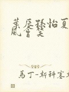 叶辰孙怡夏若雪风会笑