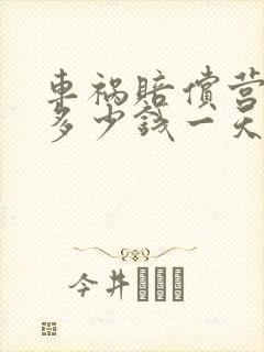 车祸赔偿营养费多少钱一天