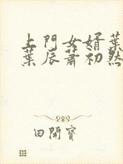上门女婿叶辰 叶辰萧初然531