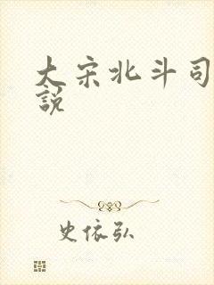 大宋北斗司 小说
