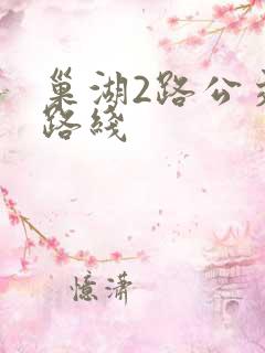 巢湖2路公交车路线