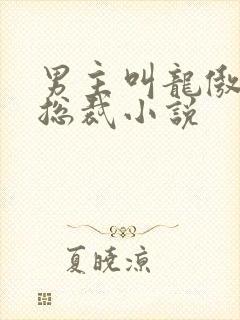 男主叫龙傲天的总裁小说