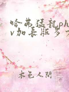 哈弗猛龙phev加长版多少钱一辆2024