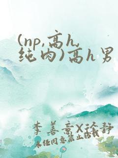 (np,高h,纯肉)高h男男