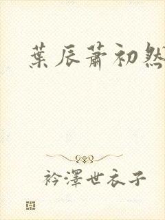 叶辰萧初然结局 叶辰萧初然结局