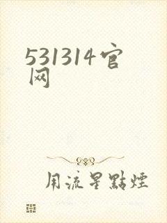 531314官网