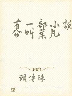 有一部小说主人公叫叶凡