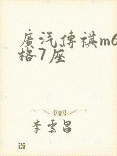 广汽传祺m6价格7座