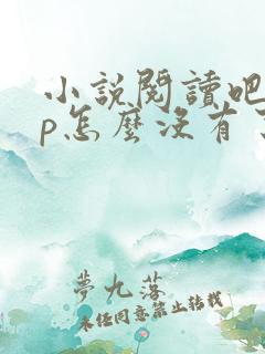 小说阅读吧app怎么没有了