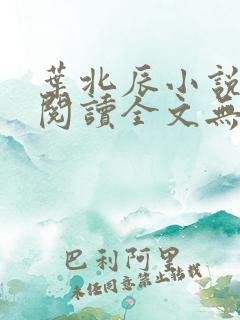 叶北辰小说免费阅读全文无弹窗