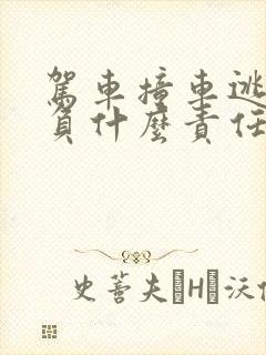 驾车撞车逃逸要负什么责任