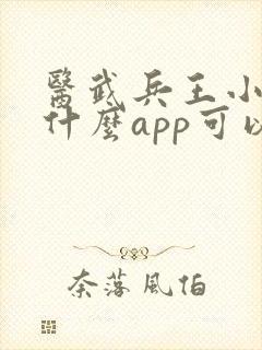医武兵王小说用什么app可以