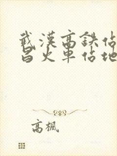 武汉高铁站至武昌火车站地铁