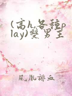 (高h,各种play)双男主
