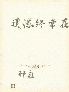 遗憾终常在小说