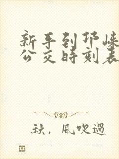 新平到邛崃快速公交时刻表