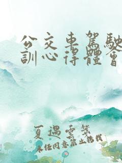 公交车驾驶员培训心得体会