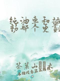 纯油车和插电混动哪个更划算