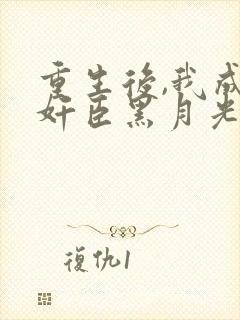 重生后,我成了奸臣黑月光txt