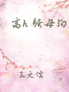 高h 骚母狗