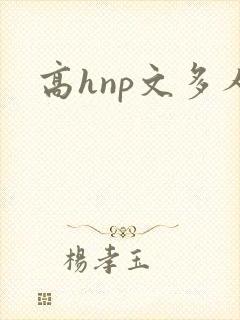 高hnp文多人