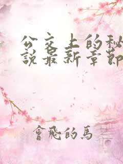 公交上的秘密小说最新章节