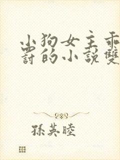 小狗女主乖乖受罚的小说双女主小说
