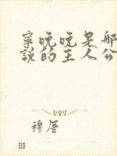 宁晚晚是哪部小说的主人公