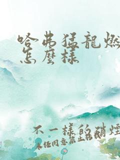 哈弗猛龙燃油版怎么样