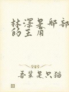 林泽是哪部小说的主角