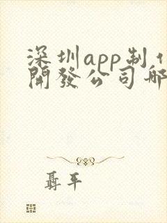 深圳app制作开发公司哪家好