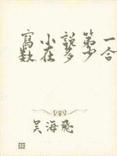 写小说第一章字数在多少合适