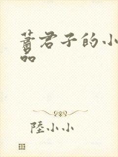 萧君子的小说作品