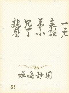 亲兄弟来一发怎么了小说免费阅读