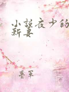 小说夜少的二婚新妻