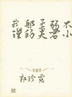 我那柔弱不能自理的夫君小说无广告 我那柔弱不能自理的夫君小说无广告