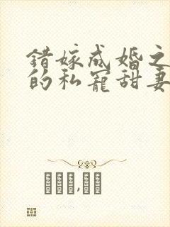 错嫁成婚之总裁的私宠甜妻