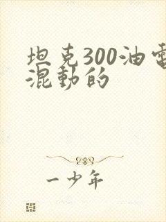 坦克300油电混动的 坦克300油电混动的