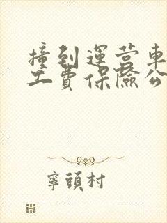 撞到运营车辆误工费保险公司赔偿吗