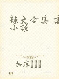 辣文合集 高h小说