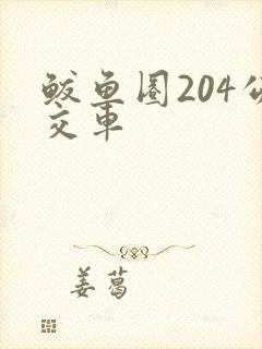 鲅鱼圈204公交车