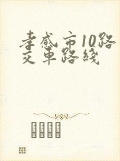 孝感市10路公交车路线