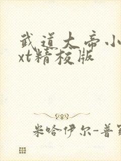 武道大帝小说txt精校版