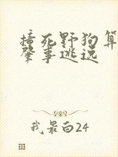 撞死野狗算不算肇事逃逸