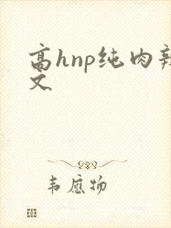 高hnp纯肉辣文
