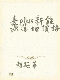 秦plus新能源落地价格