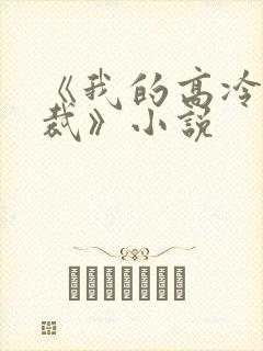 《我的高冷女总裁》小说